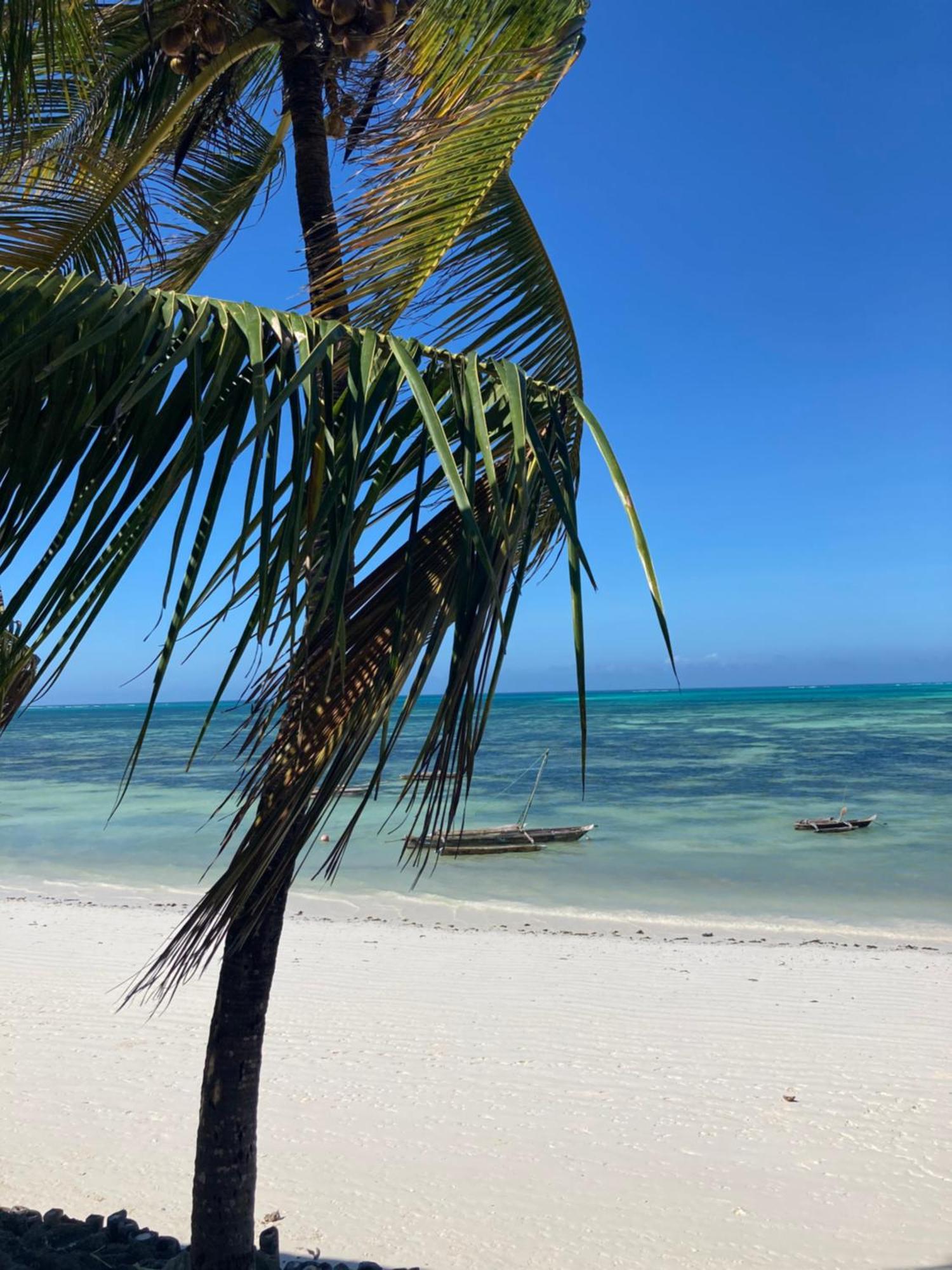 Mango Beach House Jambiani  Luaran gambar