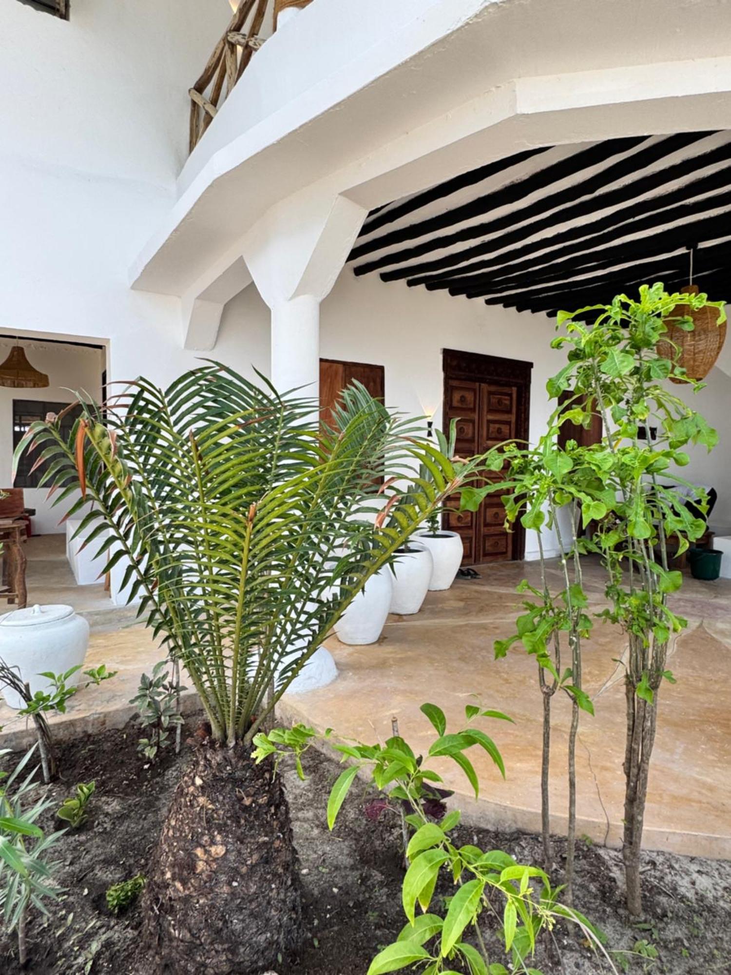 Mango Beach House Jambiani  Luaran gambar